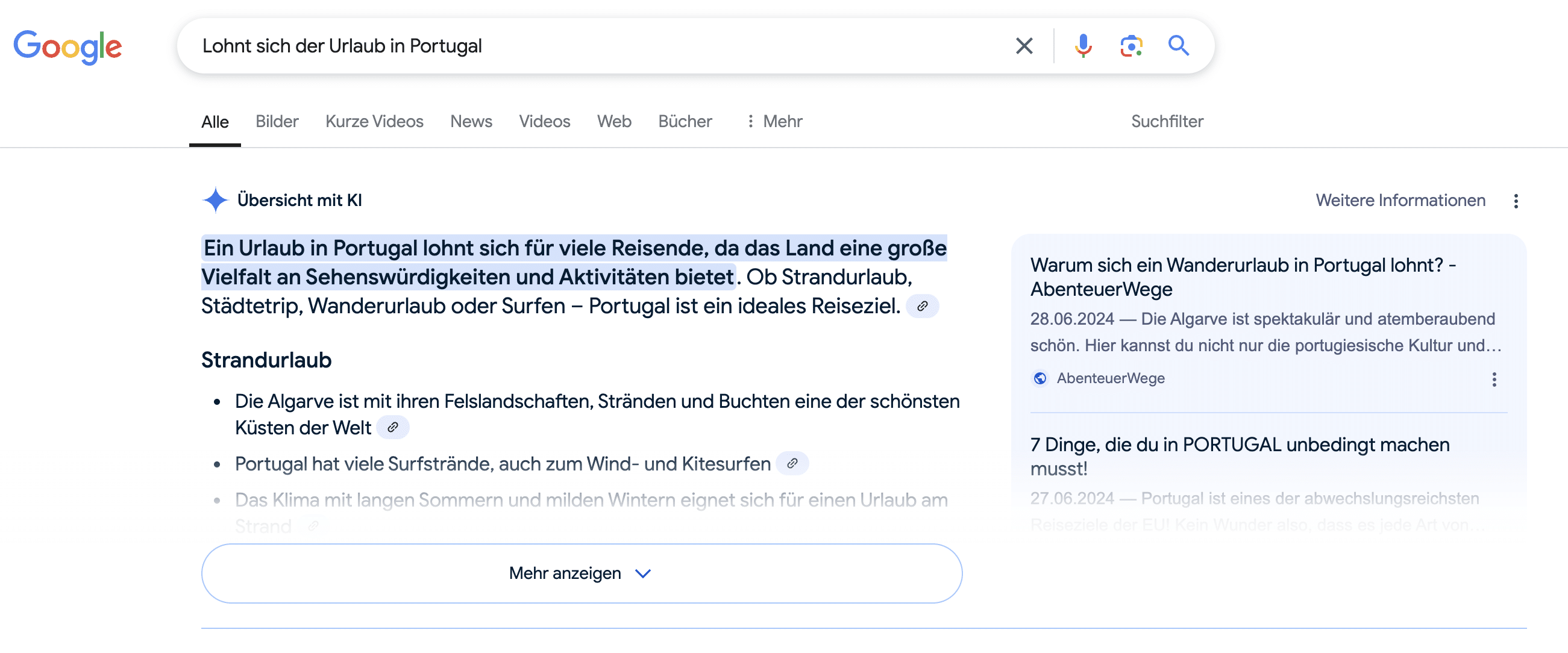 Beispiel AI Overview